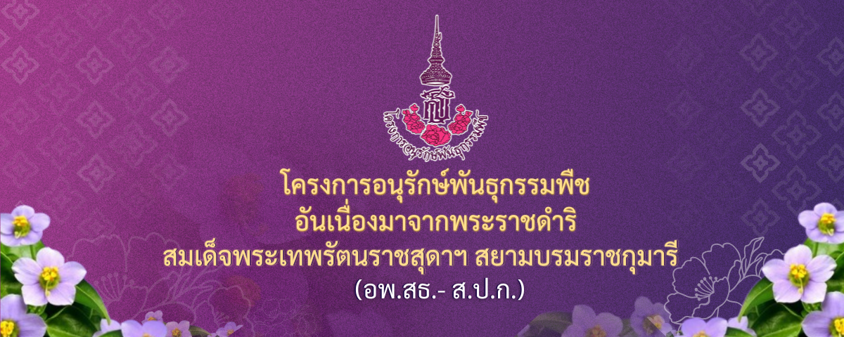 โครงการอนุรักษ์พันธุกรรมพืช