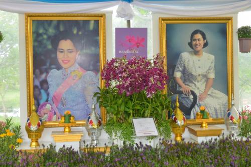 ส.ป.ก.จัดนิทรรศการในงาน “สีสรรพรรณไม้เทิดไท้บรมราชินีนาถ” ครั้งที่ ๑๓