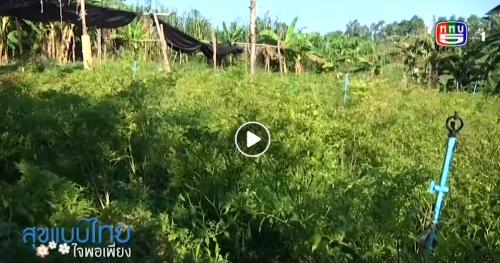 เทคโนโลยีปลูกพืชอัตโนมัติ Smart Farm IOT