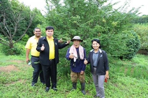 รองเลขาฯ ส.ป.ก. ลงพื้นที่ตรวจเยี่ยมศูนย์เครือข่าย ศพก.ในเขตปฏิรูปที่ดิน
