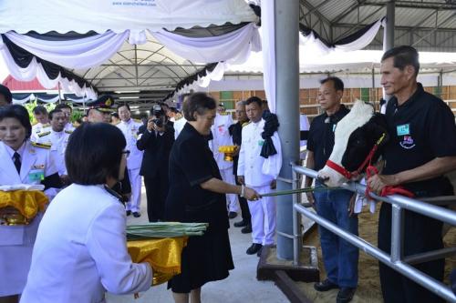 ส.ป.ก.เฝ้ารับเสด็จและร่วมงานเทศกาลโคนมแห่งชาติประจำปี 2560