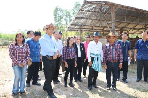 กระทรวงเกษตรฯผลักดันยโสธร โมเดลด้านเกษตรอินทรีย์ยั่งยืน