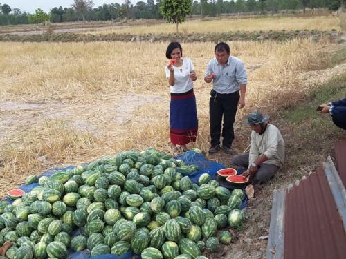 ส.ป.ก.ยโสธรเยี่ยมชมกิจกรรมและให้คำแนะนำ เกษตรกรศูนย์เรียนรู้การเพิ่มศักยภาพใช้ประโยชน์ที่ดินในเขตปฏิรูปที่ดิน บ้านคำผักกูด  ตำบล อำเภอกุดชุม จังหวัดยโสธร