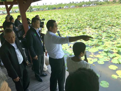 นายกรัฐมนตรีเยี่ยมชมแปลงนาบัวผืนดินพระราชทาน  ลุงแจ่ม สวัสดิ์โต ณ เขตพื้นที่ปฏิรูปที่ดินจังหวัดนครปฐม