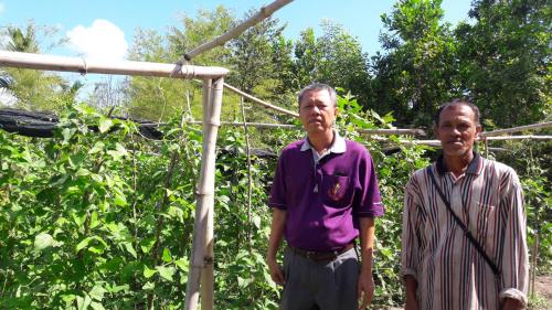 หัวหน้าผู้ตรวจราชการกรม ลงพื้นที่ตรวจเยี่ยมเกษตรกรรุ่นใหม่ ณ ศูนย์เรียนรู้เศรษฐกิจพอเพียงชุมชน ในเขตปฏิรูปที่ดินจังหวัดสุราษฎร์ธานี