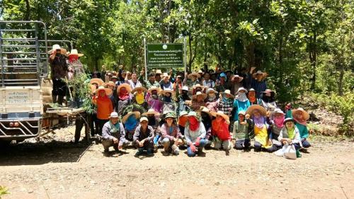 ส.ป.ก.น่าน มอบกล้าพันธุ์ต้นไผ่รวก 2,100 ต้น ในพื้นที่ป่าชุมชน (Sensitive Area) โครงการส่งเสริมวนเกษตรในเขตปฏิรูปที่ดินจังหวัดน่าน  