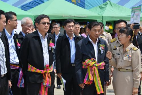 ส.ป.ก. ร่วมบูรณาการโครงการส่งเสริมการเกษตรในรูปแบบแปลงใหญ่ (มันสำปะหลัง)