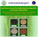 คุณค่าโภชนาการของข้าวพันธุ์พื้นเมืองในเขตปฏิรูปที่ดิน