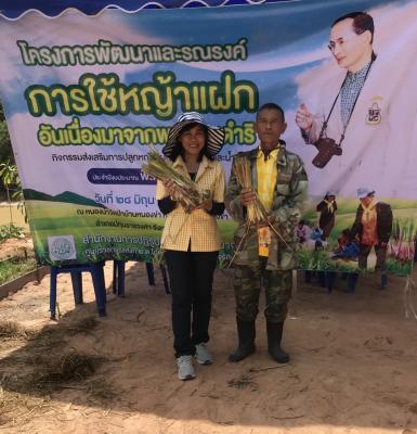 สำนักงานการปฏิรูปที่ดินอำนาจเจริญเข้าร่วมโครงการพัฒนาและรณรงค์การใช้หญ้าแฝกอันเนื่องมาจากพระราชดำริ
