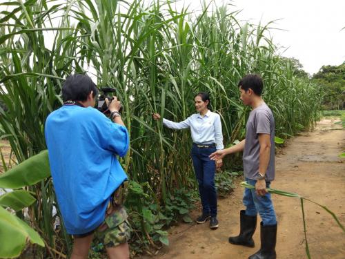 ร่วมถ่ายทำสารคดีโครงการประชาสัมพันธ์ เพื่อส่งเสริมภาพลักษณ์และการพัฒนาองค์กรของสำนักงานการปฏิรูปที่ดินเพื่อเกษตรกรรม ในหัวข้อ “การปลูกมันเทศอินทรีย์ ตามมาตรฐาน IFOAM”