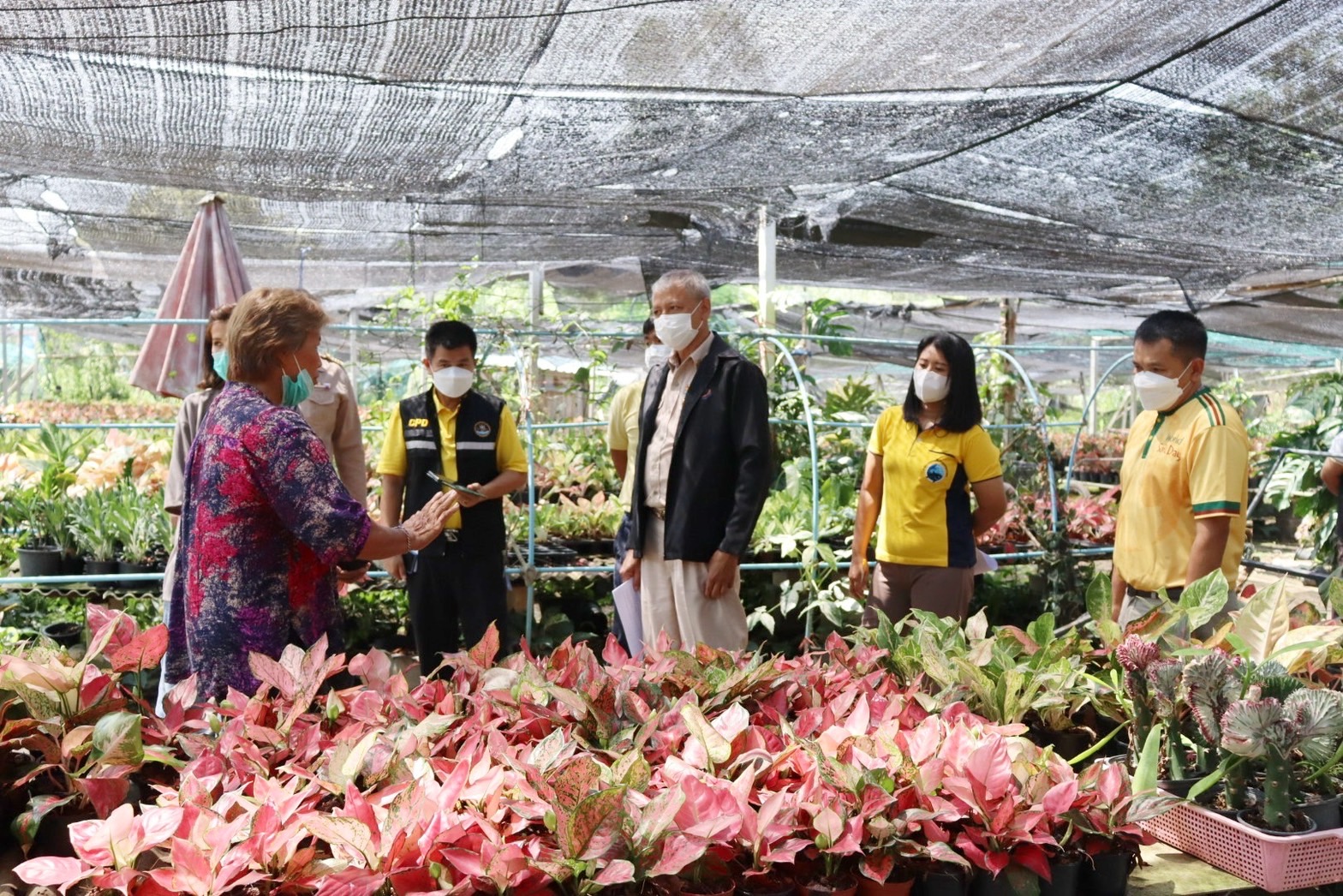 เข้าร่วมลงพื้นที่เพื่อตัดสินการประกวดแปลงใหญ่ดีเด่นของจังหวัดอ่างทอง ประจำปี 2566