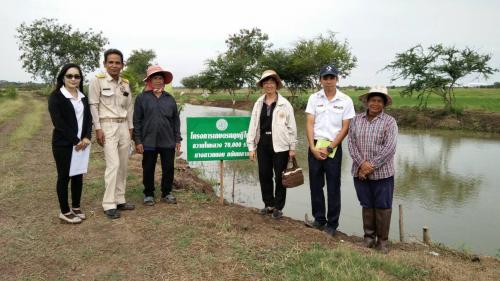 ลงพื้นที่ตรวจเยี่ยมเกษตรกรที่เข้าร่วมโครงการเกษตรทฤษฎีใหม่ ตำบลตรีณรงค์ อำเภอไชโย
