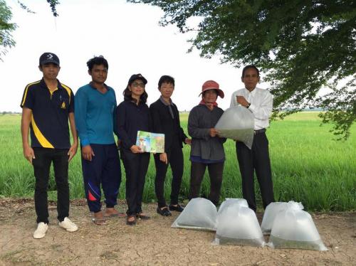 ขับเคลื่อนเกษตรทฤษฎีใหม่ ถวายในหลวง
