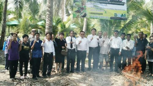 งานวันรณรงค์ประชาสัมพันธ์โครงการป้องกันกำจัดศัตรูมะพร้าว (หนอนหัวดำ) ด้วยวิธีผสมผสานแบบครอบคลุมพื้นที่