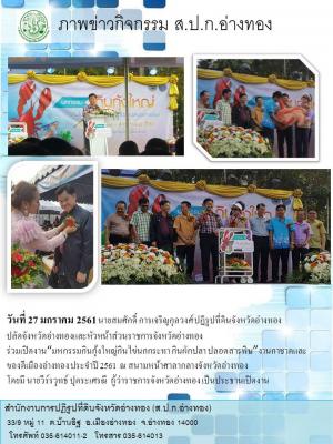 มหกรรมกินกุ้งใหญ่ กินไข่นกกระทา กินผักปลา ปลอดสารพิษ