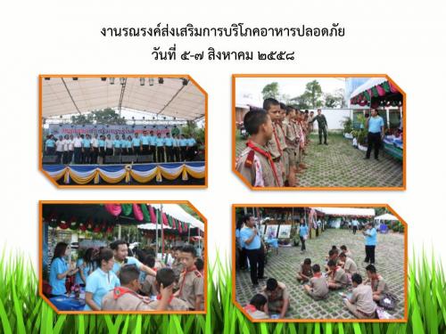 งานรณรงค์ส่งเสริมการบริโภคอาหารปลอดภัย  