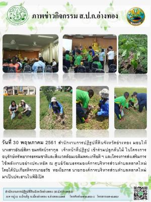 วันที่ 30 พฤษภาคม 2561 สำนักงานการปฏิรูปที่ดินจังหวัดอ่างทอง มอบให้ กุล  เจ้าหน้าที่ปฏิรูปที่ดิน เข้าร่วมปลูกต้นไม้ 