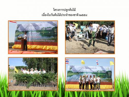 กิจกรรมวันต้นไม้ประจำชาติ ( ประจำปี 2558 ) 