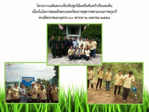 โครงการเฉลิมพระเกียรติปลูกไม้ผลยืนต้นครัวเรือนละต้นเนื่องในโอกาสสมเด็จพระเทพรัตนราชสุดาฯสยามบรมราชกุมารีทรงมีพระชนมายุครบ ๖๐ พรรษา   