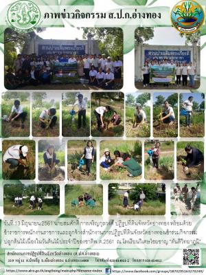 กิจกรรมปลูกต้นไม้เนื่องในวันต้นไม้ประจำปีของชาติพ.ศ.2561  ณ โรงเรียนวิเศษไชยชาญ ตันติวิทยาภูมิ
