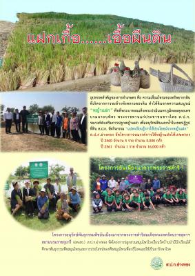 สำนักงานการปฏิรูปที่ดิน ดำเนินงานงานช่วงปี 60/61 ตอบสนองต่อการพัฒนาเกษตรกรให้มีความมั่นคงในอาชีพเกษตรกรรมอย่างยั่งยืน เป็นประโยชน์ต่อประชาชนโดยรวม โดยจัดที่ดินเขตปฏิรูปให้เกษตรกรเช่าทำประโยชน์ 52 ราย ในเนื้อที่ 253 ไร่