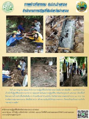 วันที่ 19 กรกฎาคม 2561 สำนักงานการปฏิรูปที่ดินจังหวัดอ่างทอง โดยกลุ่มยุุทธศาสตร์และการปฏิรูปที่ดิน พร้อมครูพยงค์ ออกพื้นที่ติดตามความก้าวหน้า กลุ่มเกษตรกรเพาะเห็ดเยื่อไผ่ ส.ป.ก.