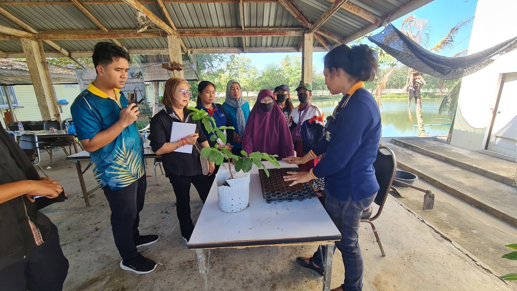 สฺ.ป.ก.พระนครศรีอยุธยา จัดอบรมตามโครงการยกระดับศักยภาพการพัฒนาสินค้าเกษตรชีวภาพ ปีงบประมาณ พ.ศ.๒๕๖๙ กิจกรรม ยกระดับศักยภาพการพัฒนาสินค้าเกษตรชีวภาพ หลักสูตร การเพิ่มประสิทธิภาพการผลิตพืชสมุนไพรในเขตปฏิรูปที่ดิน