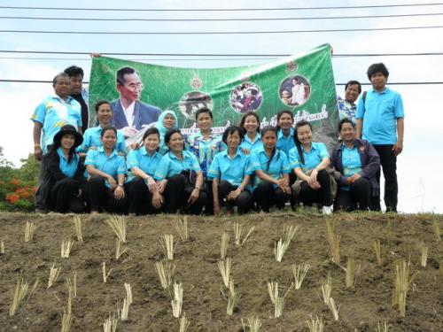 โครงการพัฒนาและรณรงค์การปลูกหญ้าแฝก เพื่อการอนุรักษ์ดินและน้ำ...