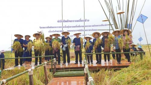 ส.ป.ก.พระนครศรีอยุธยา จัดกิจกรรมเกี่ยวข้าว ณ แปลงโฉนดหมายเลข ๑ เนื่องในโอกาสมหามงคลพระราชพิธีบรมราชาภิเษก