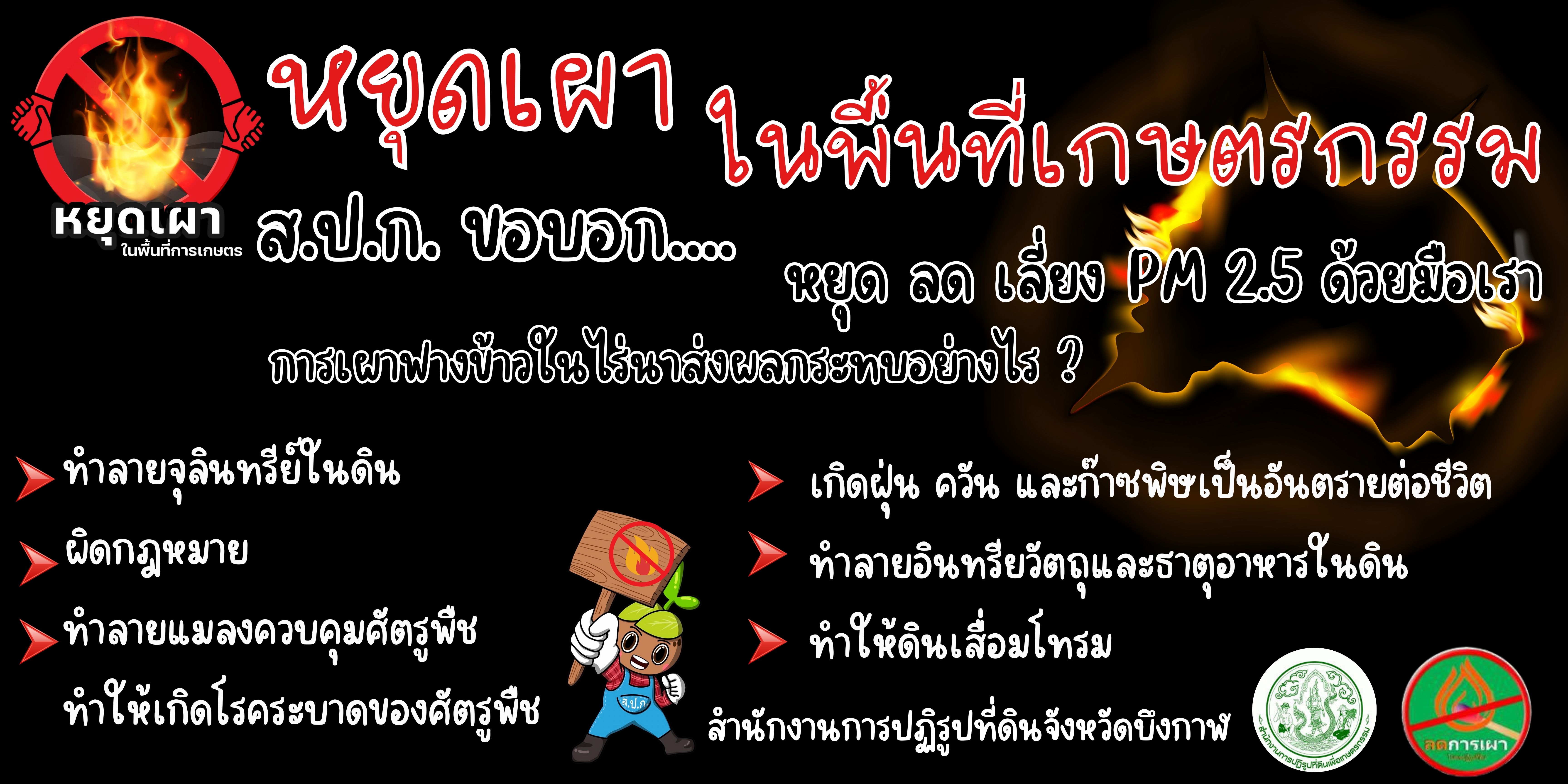 เผา