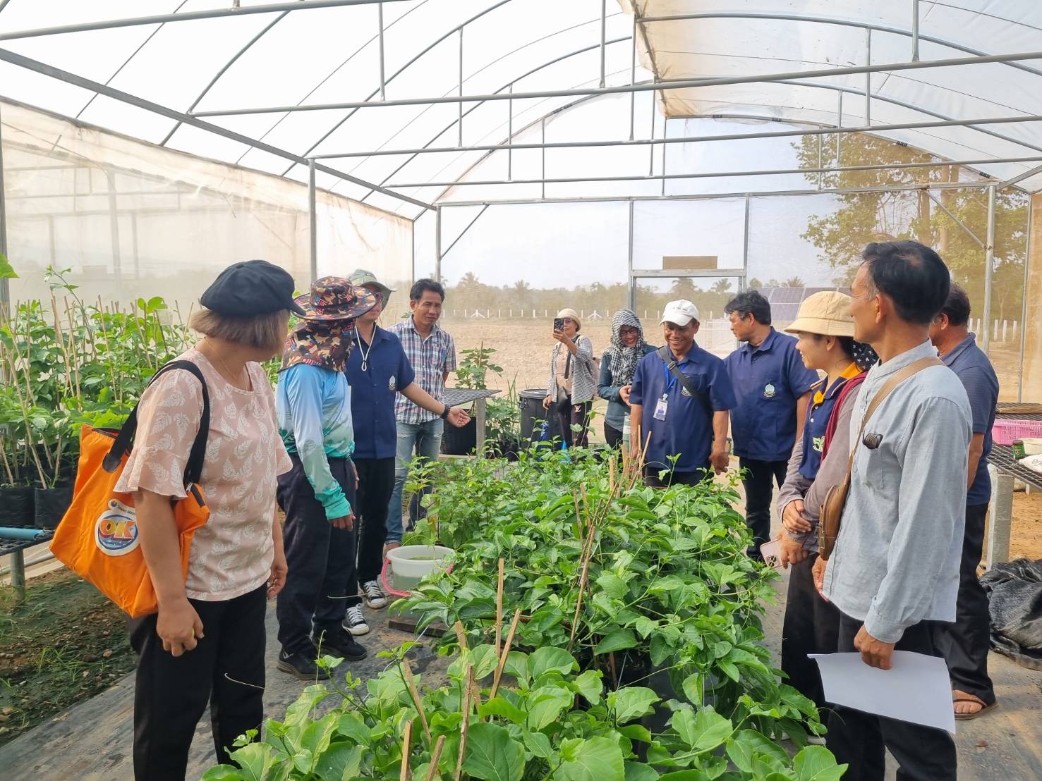 title - วันที่ 25 กุมภาพันธ์ 2569 นายประเสริฐ กาญจนเกียรติกุล ปฏิรูปที่ดินจังหวัดบุรีรัมย์ มอบหมายให้นางนวลละออง ชูมาตย์ ผู้อำนวยการกลุ่มยุทธศาสตร์ฯ พร้อมเจ้าหน้าที่ ส.ป.ก.บุรีรัมย์ นำเกษตรกรโครงการลดการเผาวัสดุทางการเกษตรฯ เข้าศึกษาดูงาน ณ สถานีวิจัยการเกษตรและพัฒนาโครงการหลวงโนนดินแดง