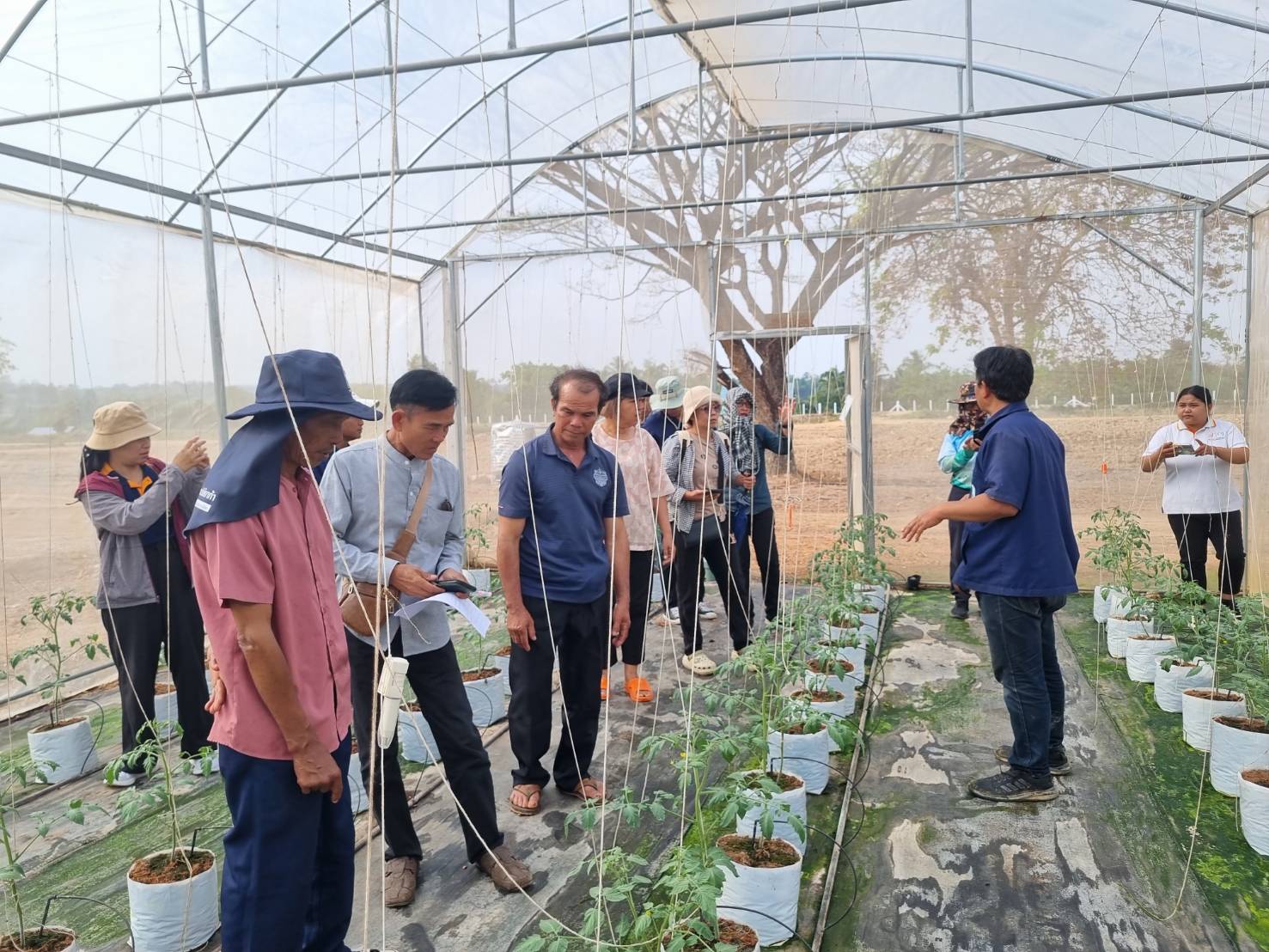 title - วันที่ 25 กุมภาพันธ์ 2569 นายประเสริฐ กาญจนเกียรติกุล ปฏิรูปที่ดินจังหวัดบุรีรัมย์ มอบหมายให้นางนวลละออง ชูมาตย์ ผู้อำนวยการกลุ่มยุทธศาสตร์ฯ พร้อมเจ้าหน้าที่ ส.ป.ก.บุรีรัมย์ นำเกษตรกรโครงการลดการเผาวัสดุทางการเกษตรฯ เข้าศึกษาดูงาน ณ สถานีวิจัยการเกษตรและพัฒนาโครงการหลวงโนนดินแดง