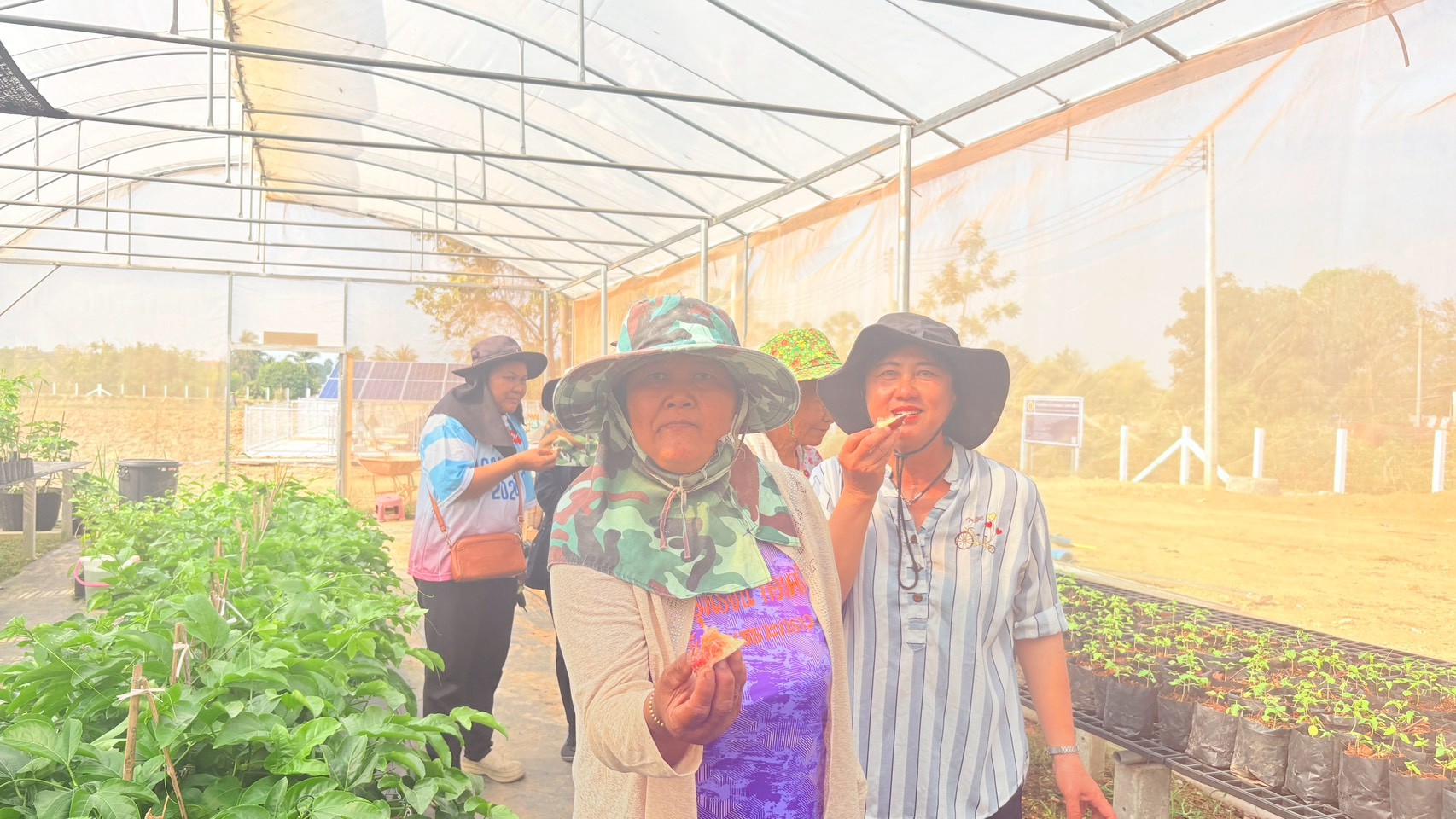 title - วันที่ 26 กุมภาพันธ์ 2569 นายประเสริฐ กาญจนเกียรติกุล ปฏิรูปที่ดินจังหวัดบุรีรัมย์ มอบหมายให้นางสาวกริ่มใจ กอนไธสง นักวิชาการปฏิรูปที่ดินชำนาญการ พร้อมเจ้าหน้าที่ ส.ป.ก.บุรีรัมย์ นำเกษตรกรโครงการยกระดับศักยภาพการพัฒนาสินค้าเกษตรชีวภาพฯ เข้าศึกษาดูงาน ณ สถานีวิจัยการเกษตรและพัฒนาโครงการหลวงโนนดินแดง