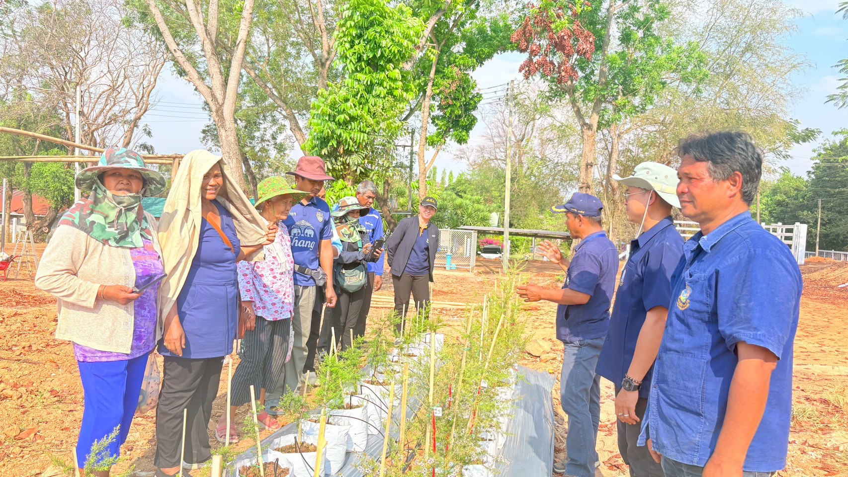 title - วันที่ 26 กุมภาพันธ์ 2569 นายประเสริฐ กาญจนเกียรติกุล ปฏิรูปที่ดินจังหวัดบุรีรัมย์ มอบหมายให้นางสาวกริ่มใจ กอนไธสง นักวิชาการปฏิรูปที่ดินชำนาญการ พร้อมเจ้าหน้าที่ ส.ป.ก.บุรีรัมย์ นำเกษตรกรโครงการยกระดับศักยภาพการพัฒนาสินค้าเกษตรชีวภาพฯ เข้าศึกษาดูงาน ณ สถานีวิจัยการเกษตรและพัฒนาโครงการหลวงโนนดินแดง