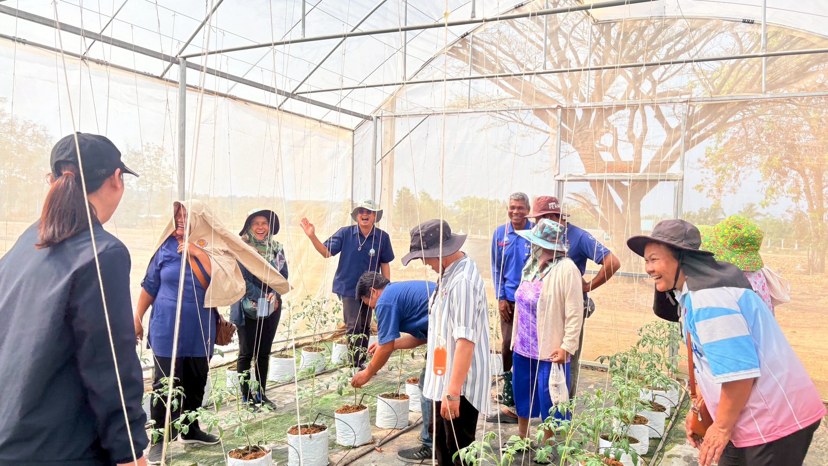 title - วันที่ 26 กุมภาพันธ์ 2569 นายประเสริฐ กาญจนเกียรติกุล ปฏิรูปที่ดินจังหวัดบุรีรัมย์ มอบหมายให้นางสาวกริ่มใจ กอนไธสง นักวิชาการปฏิรูปที่ดินชำนาญการ พร้อมเจ้าหน้าที่ ส.ป.ก.บุรีรัมย์ นำเกษตรกรโครงการยกระดับศักยภาพการพัฒนาสินค้าเกษตรชีวภาพฯ เข้าศึกษาดูงาน ณ สถานีวิจัยการเกษตรและพัฒนาโครงการหลวงโนนดินแดง
