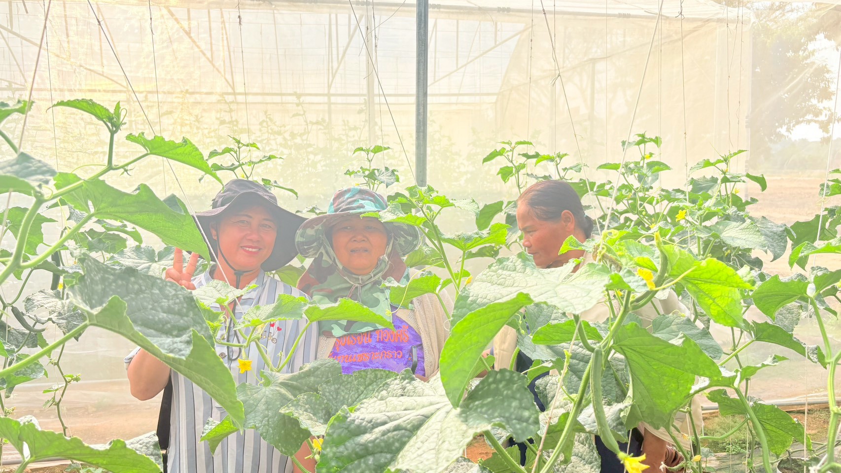 title - วันที่ 26 กุมภาพันธ์ 2569 นายประเสริฐ กาญจนเกียรติกุล ปฏิรูปที่ดินจังหวัดบุรีรัมย์ มอบหมายให้นางสาวกริ่มใจ กอนไธสง นักวิชาการปฏิรูปที่ดินชำนาญการ พร้อมเจ้าหน้าที่ ส.ป.ก.บุรีรัมย์ นำเกษตรกรโครงการยกระดับศักยภาพการพัฒนาสินค้าเกษตรชีวภาพฯ เข้าศึกษาดูงาน ณ สถานีวิจัยการเกษตรและพัฒนาโครงการหลวงโนนดินแดง