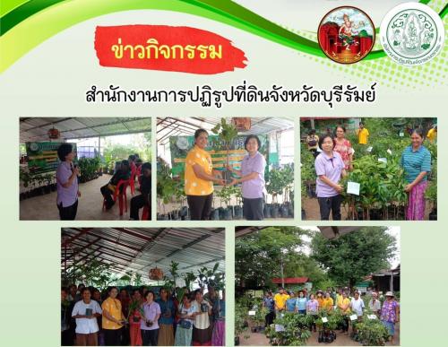 ส.ป.ก.บุรีรัมย์  มอบต้นพันธุ์ไม้โครงการพัฒนาเกษตรกรรมยั่งยืน กิจกรรมส่งเสริมระบบวนเกษตรในเขตปฏิรูปที่ดิน ปีงบประมาณ 2563