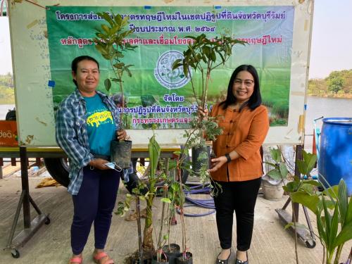 นางสุกันตา ศรีกำพล ปฏิรูปที่ดินจังหวัดบุรีรัมย์ ลงพื้นที่ ตำบลทุ่งจังหัน อำเภอโนนสุวรรณ จังหวัดบุรีรัมย์ เพื่อพบปะและมอบวัสดุการเกษตร (พันธุ์ไม้) แก่เกษตรกรที่เข้าร่วมโครงการเกษตรทฤษฎีใหม่ในเขตปฏิรูปที่ดิน ปีงบประมาณ 2564