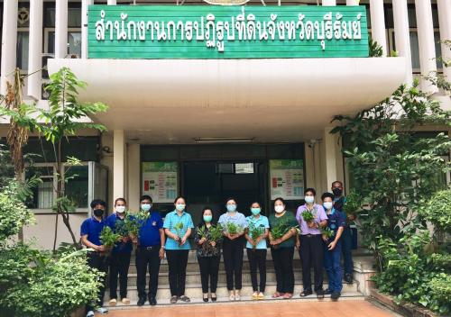 ส.ป.ก.บุรีรัมย์  จัดกิจกรรมปลูกพืชสมุนไพรต้านโควิด-19