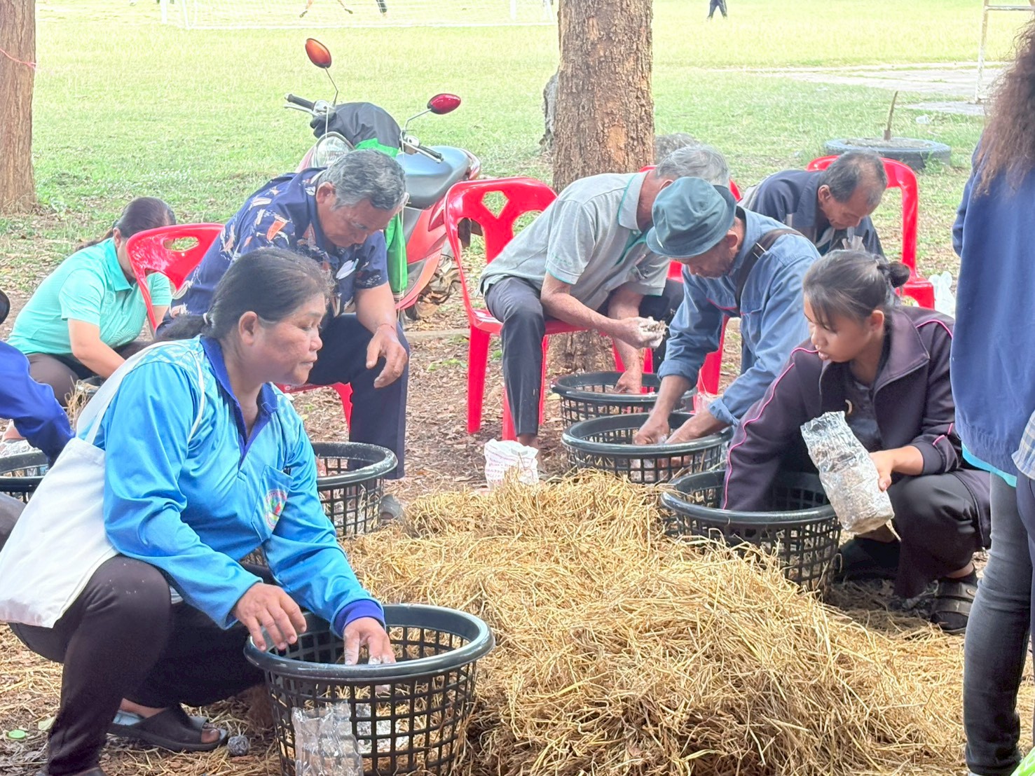 title - วันพุธที่ 17 ธันวาคม 2568 นายประเสริฐ กาญจนเกียรติกุล ปฏิรูปที่ดินจังหวัดบุรีรัมย์ มอบหมายให้นางสาวสุภาณี จงรัมย์ นักวิชาการปฏิรูปที่ดินปฏิบัติการ ดำเนินการจัดฝึกอบรมโครงการลดการเผาวัสดุเหลือใช้ทางการเกษตรในเขตปฏิรูปที่ดินปีงบประมาณ พ.ศ. 2569