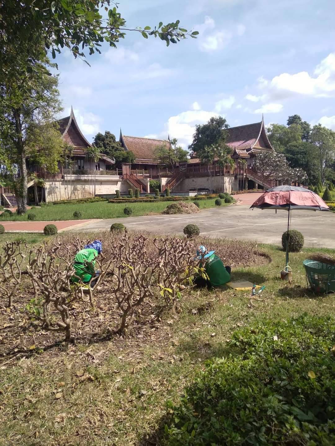 งานบำรุงรักษา อาคารสถานที่และยานพาหนะ ดำเนินการปรับปรุงภูมิทัศน์บริเวณภายในศูนย์ส่งเสริมและพัฒนาอาชีพเสริมนอกภาคการเกษตร