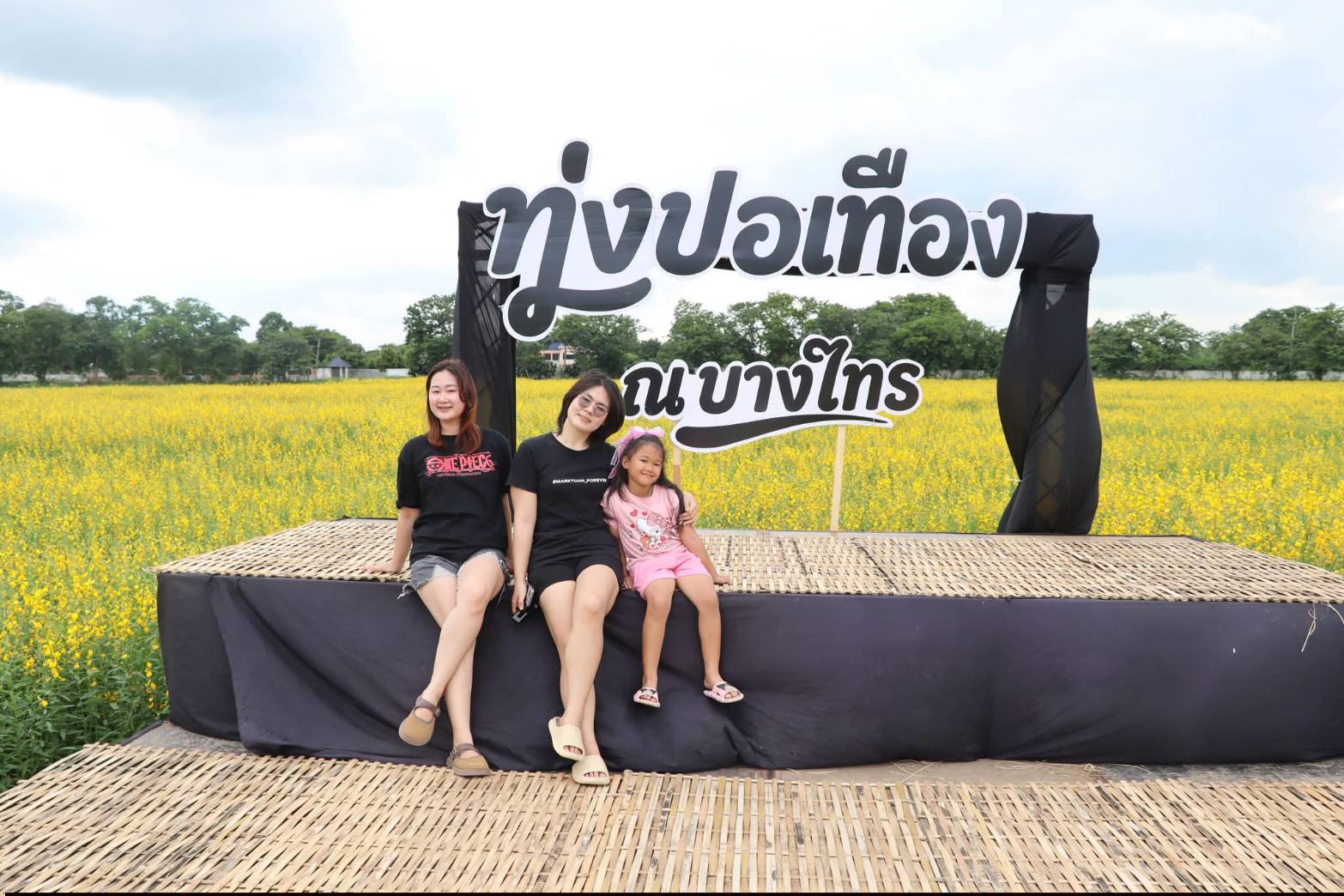 ศพส. ชวนมาเก็บภาพความประทับใจ ท่ามกลางทุ่งปอเทืองสีเหลืองสดใส ณ บางไทร (ศูนย์ศิลปาชีพ บางไทรฯ (เดิม))
