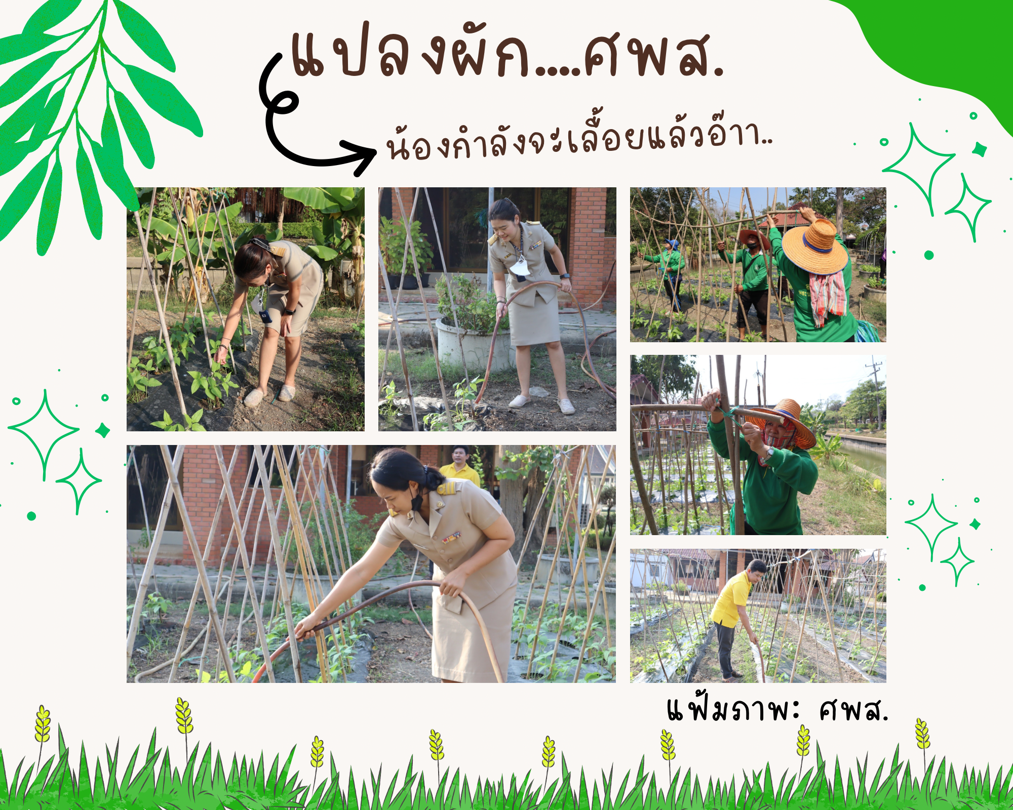 Smart Officer แปลงผัก ศพส.