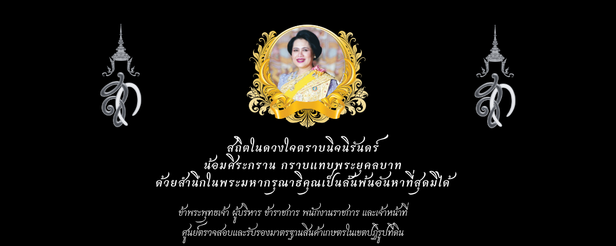 พระพันปีหลวง