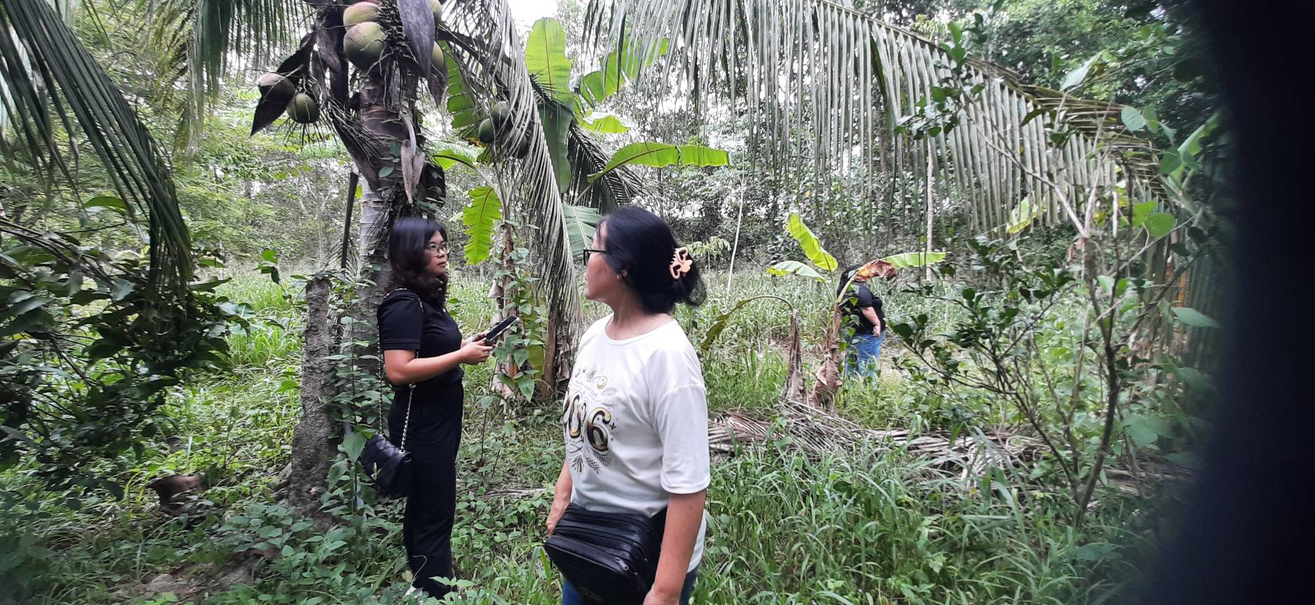 title - ศรม. ลงพื้นที่ตรวจประเมินเพื่อรับรองเกษตรกรในเขตปฏิรูปที่ดินจังหวัดระยอง