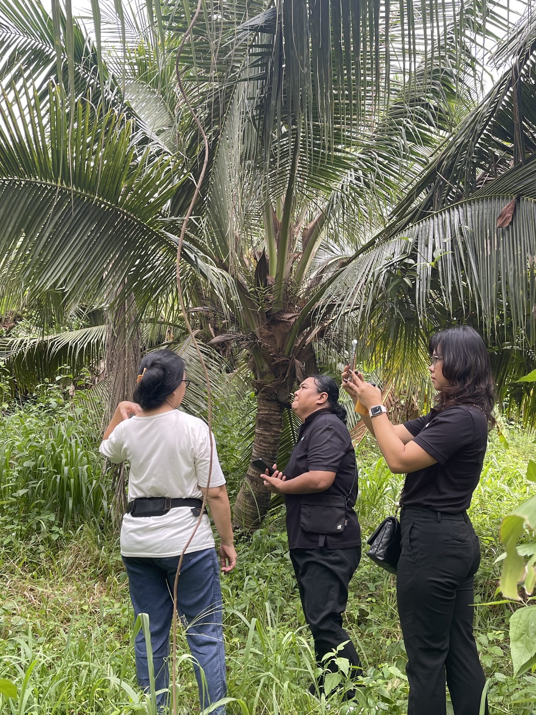 title - ศรม. ลงพื้นที่ตรวจประเมินเพื่อรับรองเกษตรกรในเขตปฏิรูปที่ดินจังหวัดระยอง