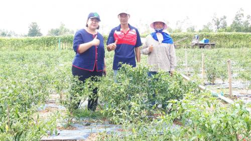 ปฎิรูปที่ดินจังหวัดฉะเชิงเทรา ลงพื้นที่ติดตามการดำเนินงานโครงการระบบส่งเสริมการเกษตรแบบแปลงใหญ่ และโครงการวนเกษตรในเขตปฏิรูปที่ดิน