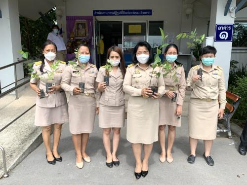 สำนักงานการปฏิรูปที่ดินจังหวัดฉะเชิงเทรา ดำเนินจัดกิจกรรม วันต้นไม้แห่งชาติประจำปี 2564 “รวมใจไทย ปลูกต้นไม้ เพื่อแผ่นดิน” 