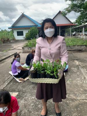 สำนักงานการปฏิรูปที่ดินจังหวัดฉะเชิงเทรา ร่วมกันปลูกฟ้าทะลายโจร เพื่อแจกให้เกษตรกร นำไปปลูกในครัวเรือน และใช้รับประทานเป็นยาสมุนไพรเพื่อป้องกัน Covid-19