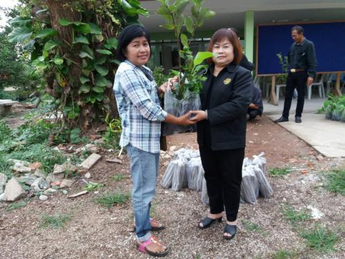 นางสาวกรุณา นิยมไทย ปฏิรูปที่ดินจังหวัดชัยนาท ร่วมมอบปัจจัยการผลิตโครงการเกษตรทฤษฏีใหม่่ อำเภอวัดสิงห์ จังหวัดชัยนาท